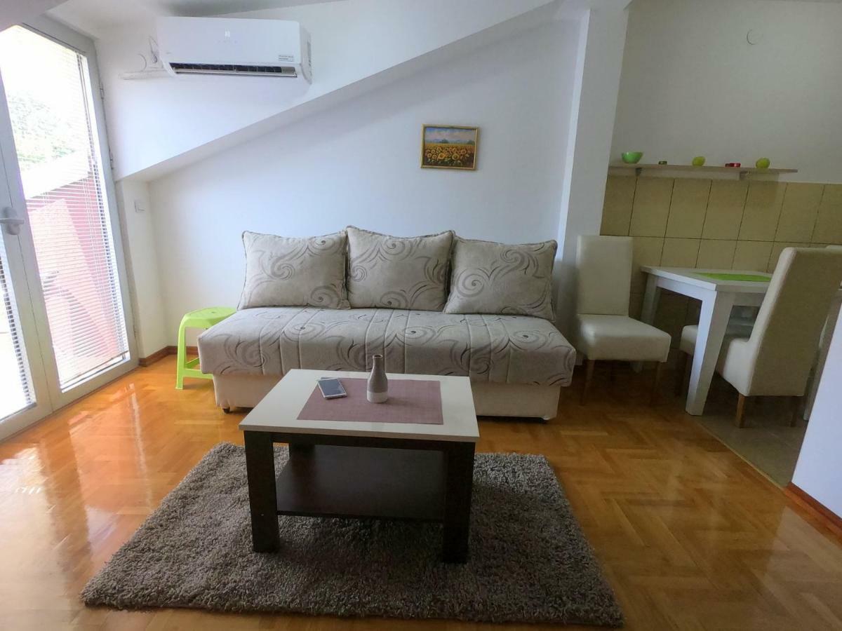 Apartman Zenit Vrnjačka Banja Eksteriør bilde